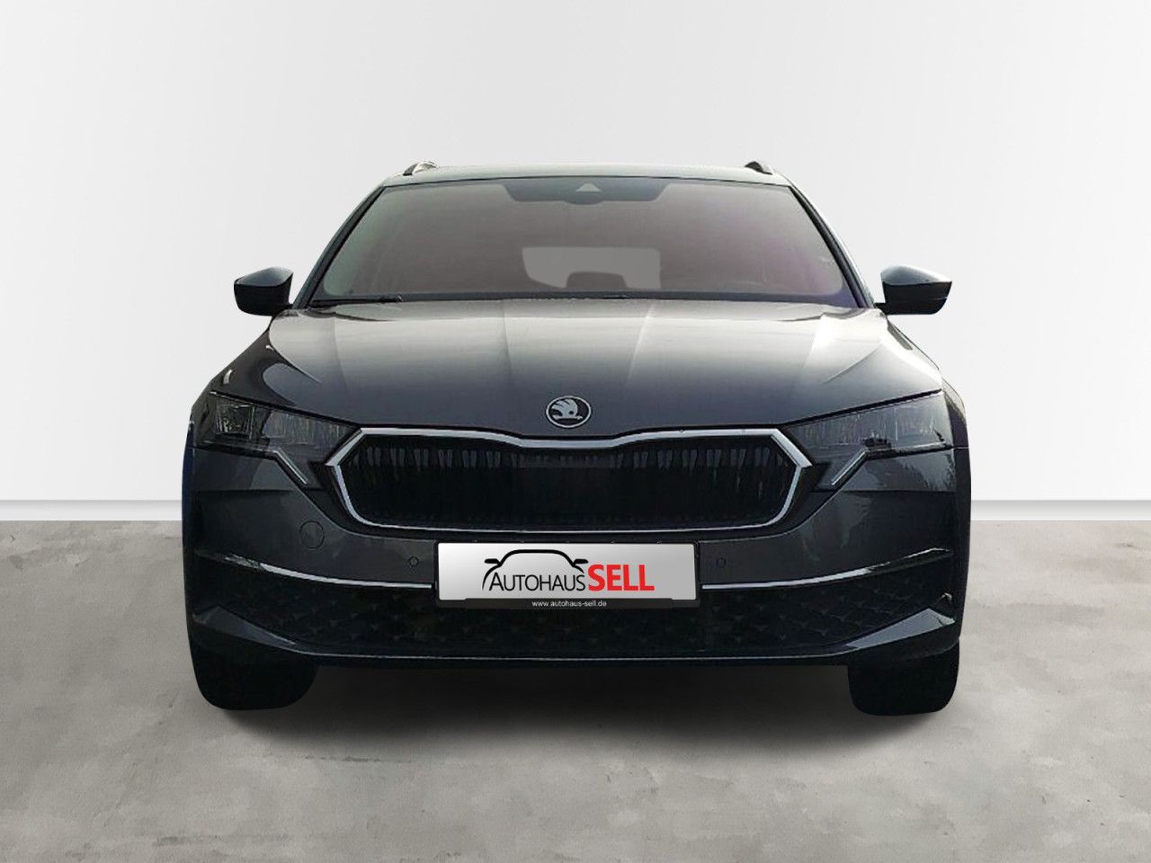 Fahrzeugabbildung SKODA Octavia Combi 2.0 TDI Selection