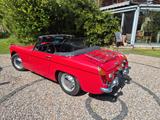 Austin Healey Andere - Austin Healey Gebrauchtwagen