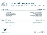 Cupra Leon ST 2.0TSI VZ 4x4 DSG Rückfahrkamera Panoram - Cupra Leon in Nürnberg