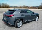 Lexus UX 250h F SPORT Standheizung - Lexus UX aus 2020