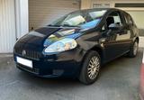 Fiat Punto 1.2 Klima TÜV 02.2027 140tkm Ge... - Fiat Punto in Dortmund