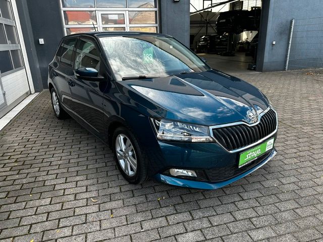 Fabia Style PDCvo+hi;KAMERA;KESSY