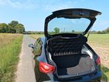 Seat Ibiza 1.0 MPI Reference  - Seat Gebrauchtwagen in Münster