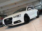 Audi A5 Sportback 1.8 TFSI/S-LINE/PDC/TEMPOMAT - Audi A5: Weiß, Sportback