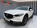 Mazda CX-30 Prime-Line 1.Hand,Navi,Kamera,HUD,8-fach - Mazda CX-30: Prime Line