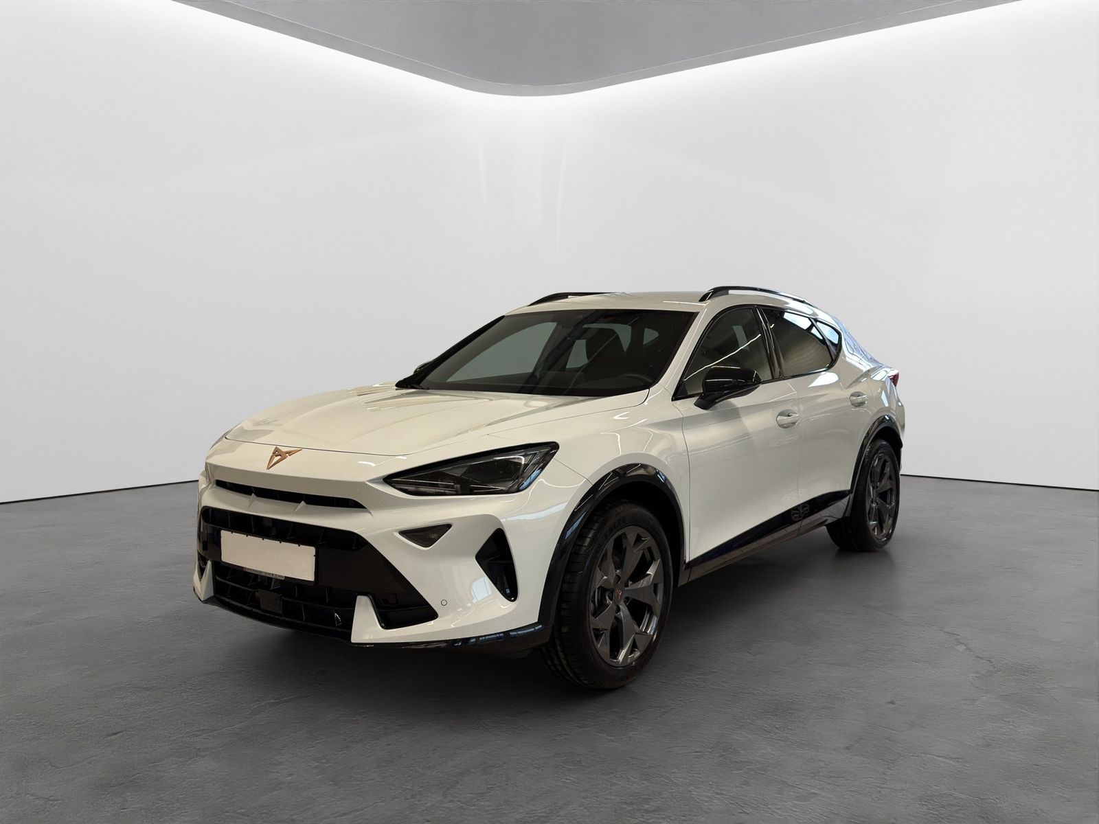 Cupra Formentor 1.5 TSI MATRIX-LED FULL-LINK 18 KAMERA imagem 2