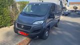 Fiat Ducato - Fiat Ducato in Krefeld