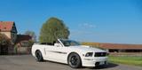Ford Mustang GT/CS Cabrio 4.6l V8 BJ.2008
