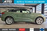 Audi Q5 SPORTBACK 2.0TDI QUATTRO S LINE MATRIX 360CAM - Audi Q5: Sportwagen