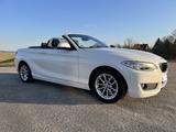 BMW 218i Cabrio -Sport Line  | Leder | Navi  - BMW 218 von privat