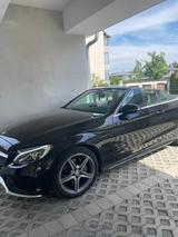 Mercedes-Benz C 180 Cabriolet AMG Styling - Mercedes-Benz C-Klasse: AMG Styling