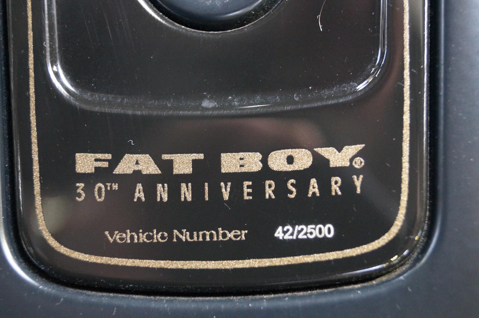 Harley-Davidson FAT BOY ANNIVERSARY 114 KESS-TECH 1.Hand