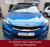 Kia XCeed 1.6 CRDi Platinum Edition ACC Vollleder - Kia XCeed Diesel Gebrauchtwagen