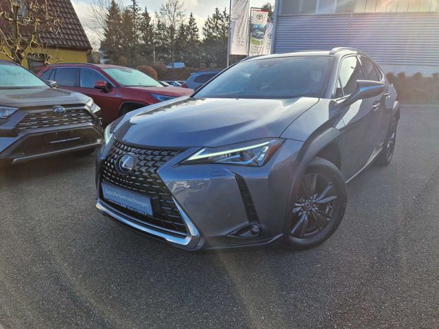 Lexus UX 250h Amazing Edition PDC/Sitzheizung