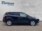 Ford Kuga Sync Edition*Winter-Paket* - Ford Kuga: Sync Edition