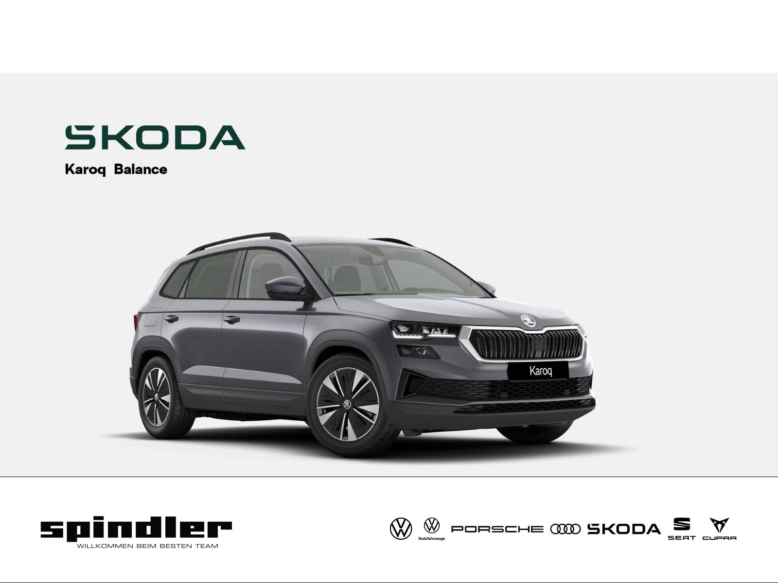 Skoda Karoq Balance 2,0 TDI 150PS *BALD VERFÜGBAR*
