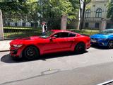 Ford mustang Shelby 5.0 ltr supersnak - : Sportwagen, Super