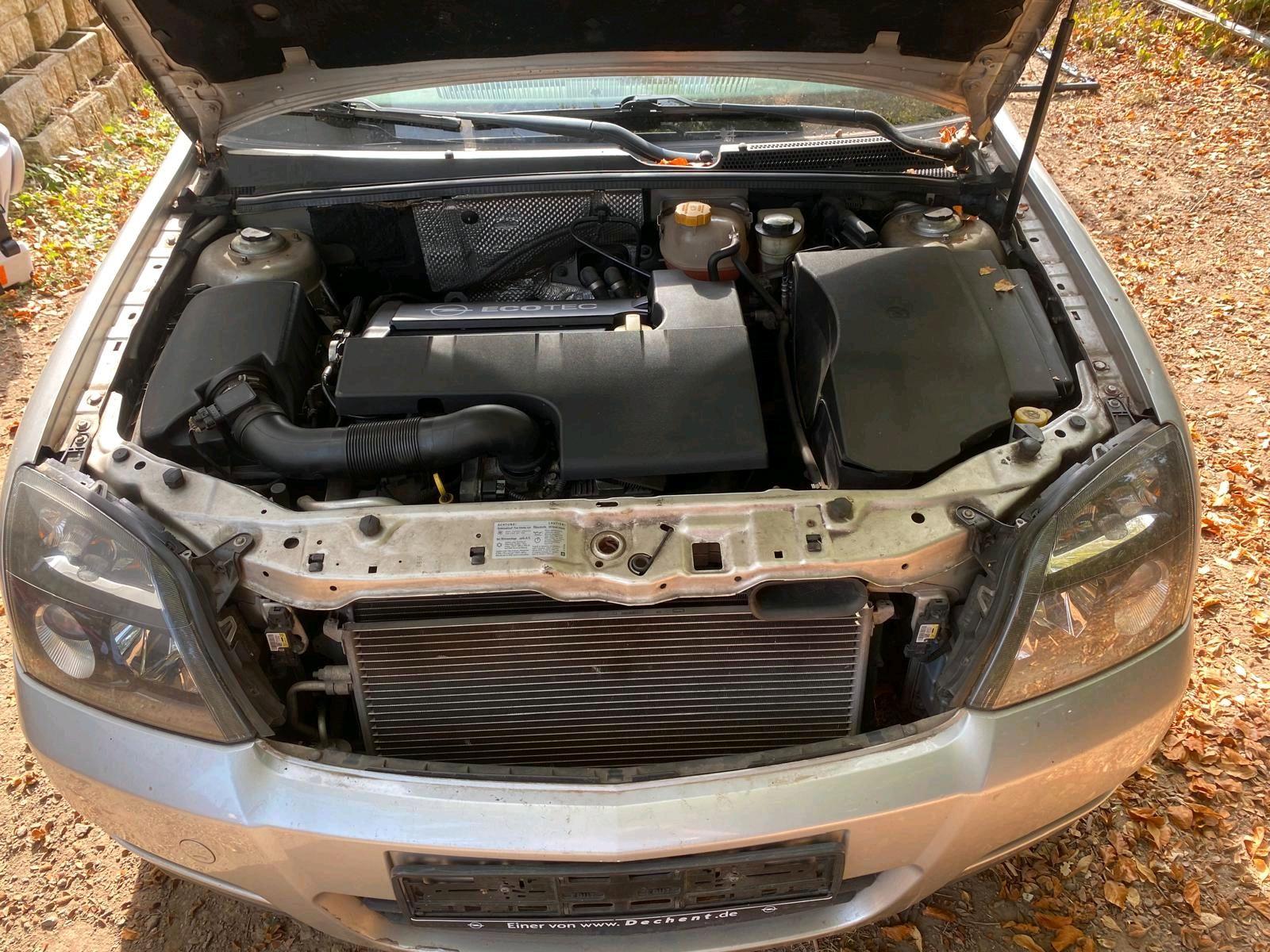 Opel Signum 2006 — photo 6