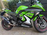 Kawasaki Ninja 300 - KAWASAKI NINJA 300