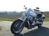 Harley-Davidson V Rod - HARLEY-DAVIDSON 2003 V ROD