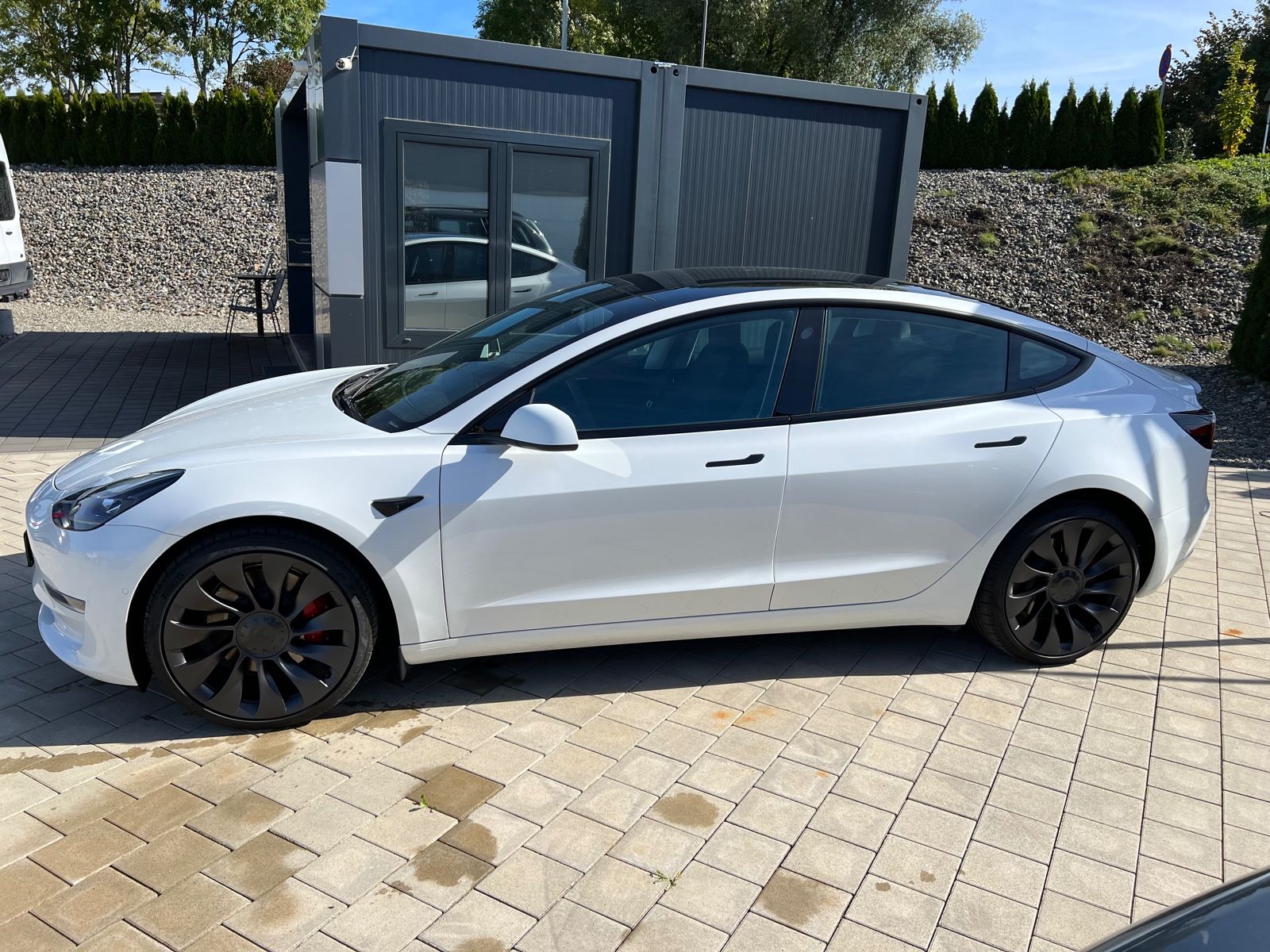Tesla Mod. 3 Performance MwSt imagem 2