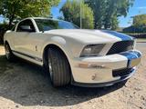 Ford Mustang GT 500 aus Sammlung Originalzustand - Ford Mustang: Or
