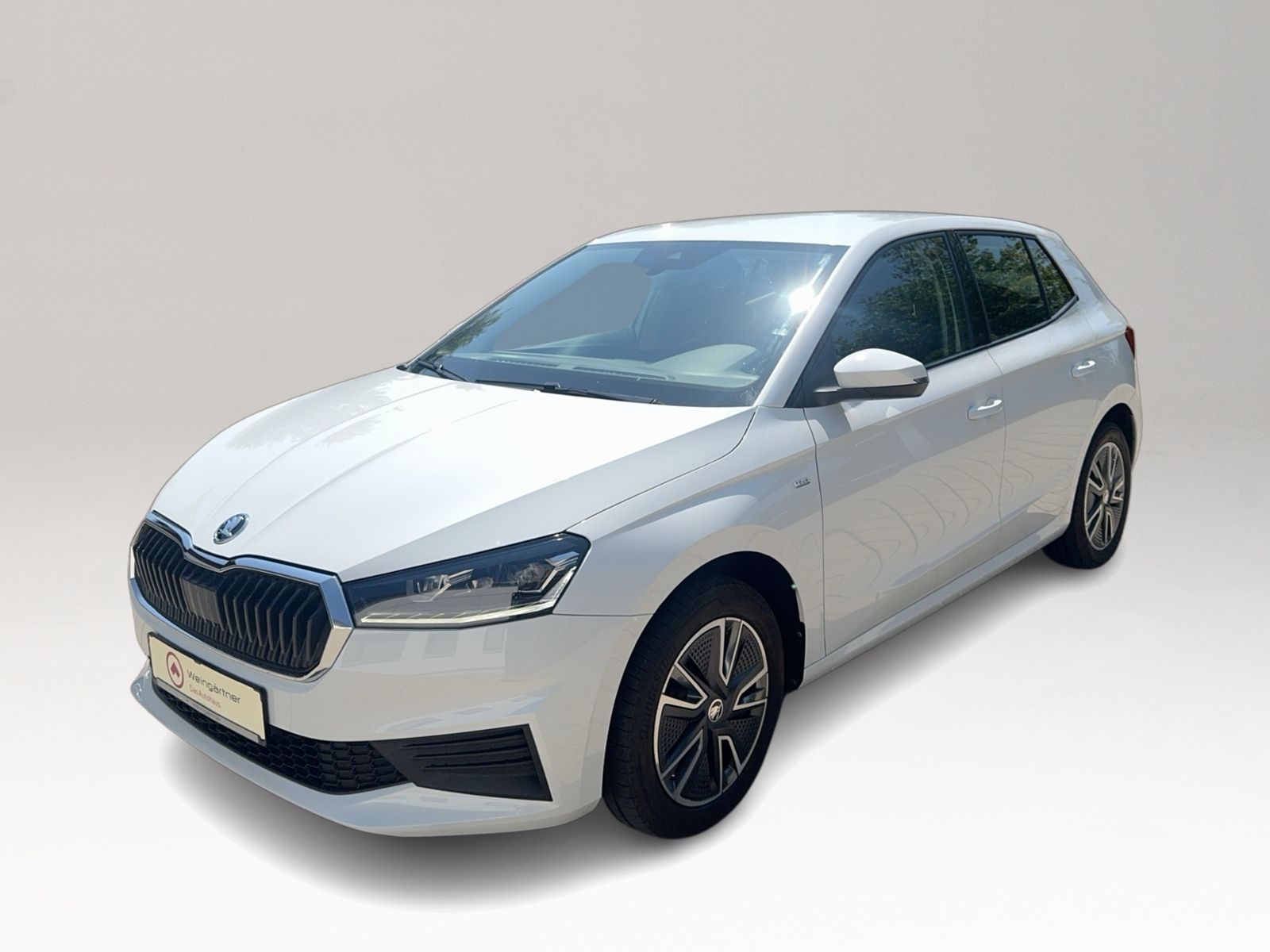 Fabia 1.0 TSI Tour, LED, Navi, ACC, Business, AH