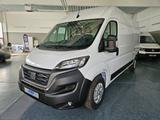 Fiat Ducato Maxi Grossr.-Kasten 35 140 L4H2 RS: 4035 - Fiat Ducato Gebrauchtwagen in München