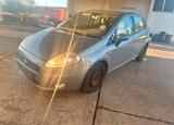 Fiat Punto 199 Grande 2007 Klima 5 Türen 1... - Fiat Grande Punto 199