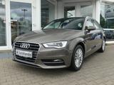 Audi A3 Sportback Ambient Autom ACC Ultr Bi-Xen. Pano - Audi A3 Gebrauchtwagen in München