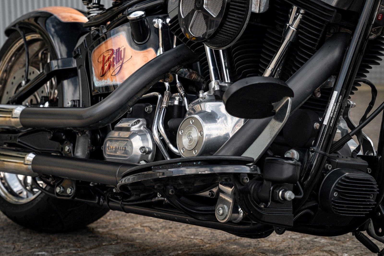 Fahrzeugabbildung Harley-Davidson SOFTAIL CROSS BONES CUSTOM FLSTSB - BIG SPOKE