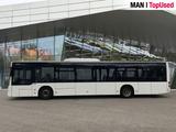 MAN LION'S CITY / A20 - MAN Lion