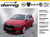 Skoda Fabia Clever, SHZ, PDC, LED - Skoda Fabia: Clever