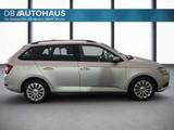 Skoda Fabia Combi Ambition 1.0 TSI Businesspaket - Skoda Fabia Gebrauchtwagen in Bielefeld