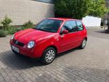 Volkswagen Lupo 1.4 TDI Oxford  - Volkswagen Lupo mit Diesel-Antrieb: 1.4