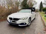 BMW 420d Cabrio Sport Line Sport Line - gebrauchte BMW 420 aus dem Jahr 2016