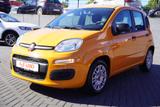 Fiat Panda 1.0 Mild Hybrid City Life Sitzheizung DAB - Fiat Panda Gebrauchtwagen in Berlin