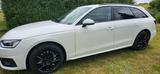 Audi A4 40 TDI S tr. quattro advanced Avant advanced