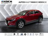 Mazda CX-30 e-SKYACTIVE G 150 EXCLUSIVE-LINE HUD LED - Mazda CX-30 mit Benzin-Antrieb: Exclusive Line
