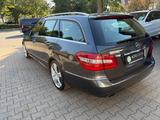 Mercedes-Benz E 250 E T-Modell E 250 CDI BlueEfficiency Elegan - Mercedes-Benz E 250: Cdi