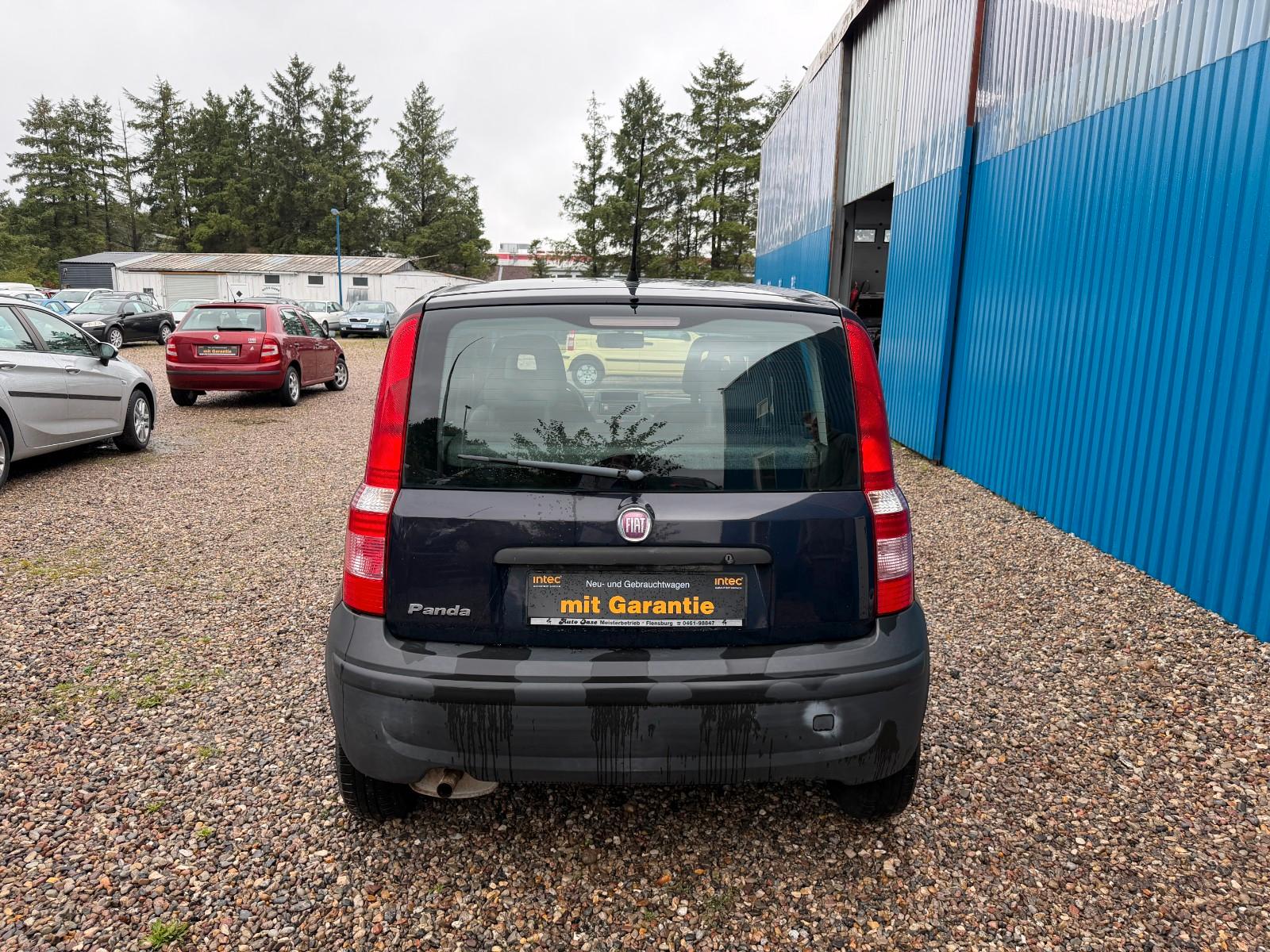 Fiat Panda 1.1 8V Active**Allwetter*HU&AU neu**