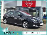 Nissan Leaf Acenta 40 KWh mit Winterpaket - Nissan Leaf aus 2022