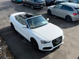 Audi A5 Cabriolet 2.0 TDI S line EDITION+ XENON SOUND - Audi A5 mit Diesel-Antrieb: Cabrio