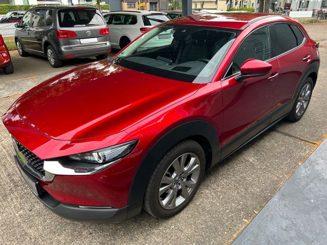 Fahrzeugabbildung Mazda CX-30 2.0+AHK+Navi+Kamera+HeadUp+CarPlay+1.Hand+