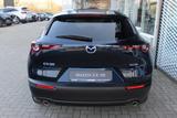 Mazda CX-30 M-Hybrid G-150 Homura NAVI ACAA LED SHZ RF - Mazda CX-30 Gebrauchtwagen