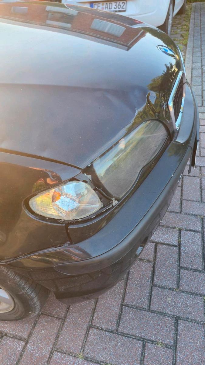 BMW 316 2004 — photo 6