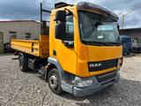 DAF LF 45.220 TÜV NEU  - Angebote