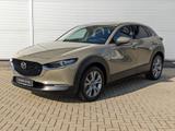 Mazda CX-30 2.0l Skyactiv-X Exclusive Bose Matrix-LED  - Mazda CX-30 Neuwagen