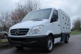Mercedes-Benz Sprinter 310 Cold Car 3+3 Türen  -33 °C - Angebote entsprechen deinen Suchkriterien