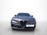Alfa Romeo Stelvio Quadrifoglio 510 PS Schiebedach Assisten - Alfa Romeo mit Benzin-Antrieb